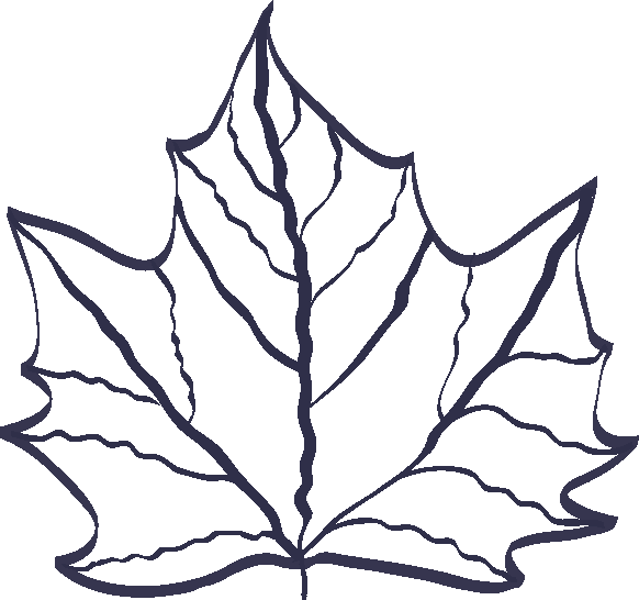 Leaf